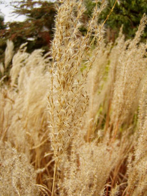 * Image 9