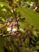 pa190122.jpg - 2004:10:19 13:26:16