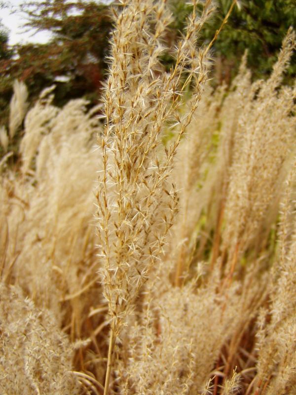 * Image 9