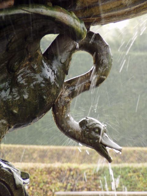 * Image 27