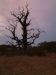 dscf0150.jpg - 
