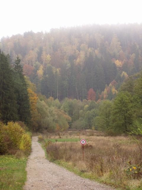 * Image 8