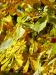 moravsky_kras03.JPG - 