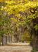 teplice01.JPG - 