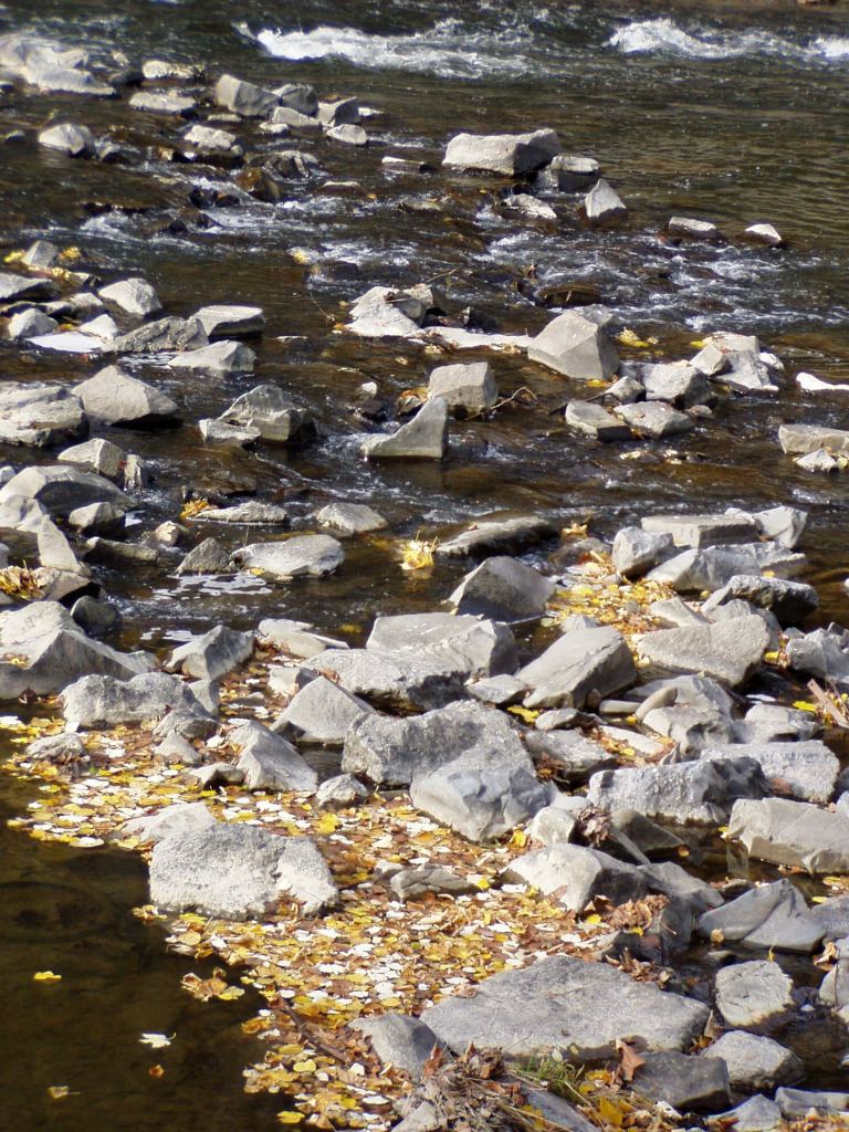 * Image 6