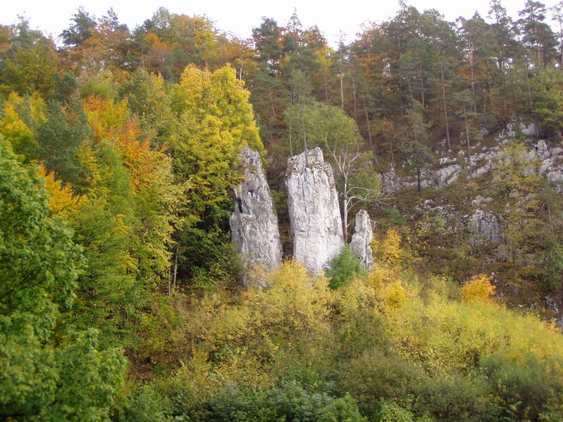 * Image 2