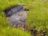 Ardtornisch_around11.JPG - 2004:07:23 14:02:48