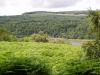 Ardtornish_walk03.JPG - 2004:07:21 14:09:36