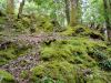Ardtornish_walk26.JPG - 2004:07:21 16:38:18