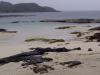 Sann_Beach04.JPG - 2004:07:20 14:57:08