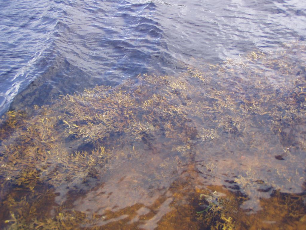 * Image 3