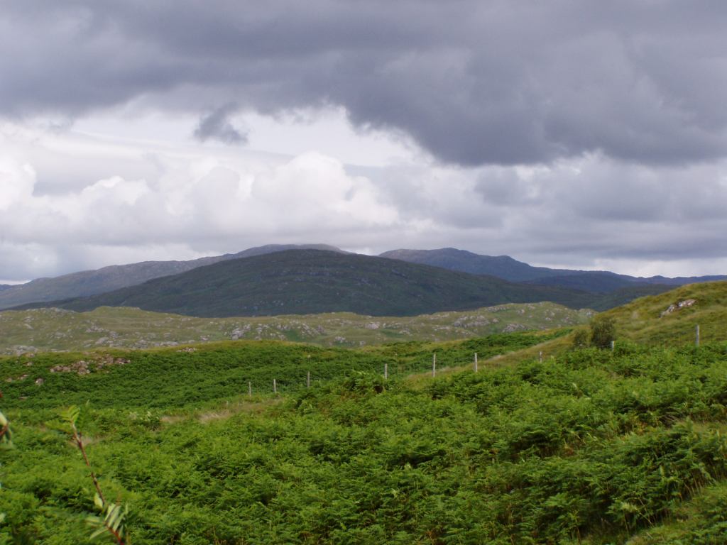 * Image 15