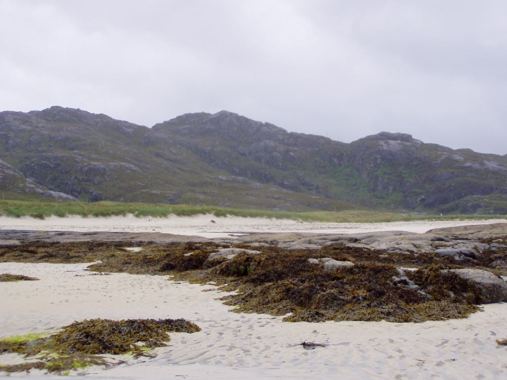 * Image 46