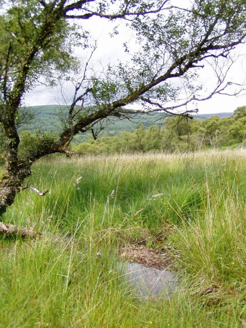 * Image 11