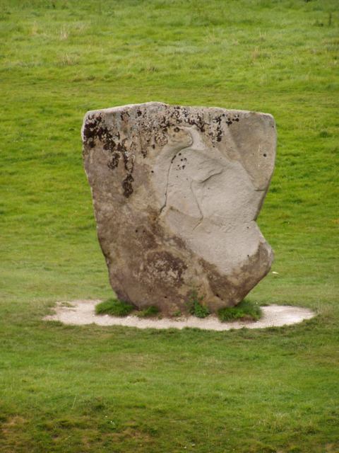 * Image 19