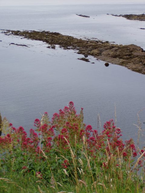 * Image 30