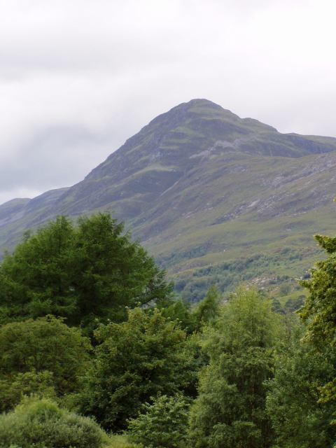 * Image 42