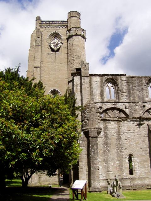 * Image 43