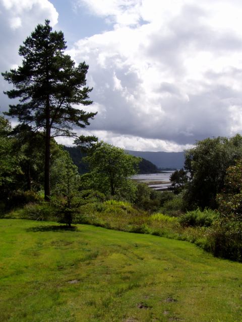 * Image 59