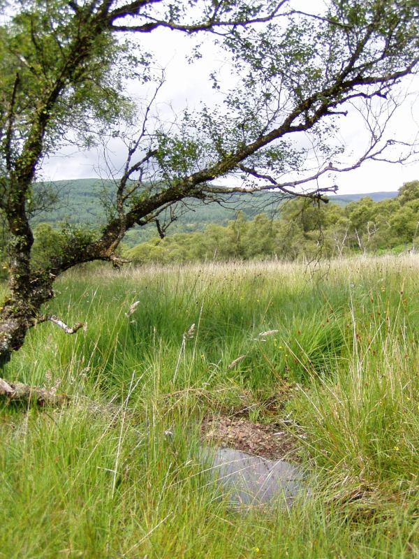 * Image 11
