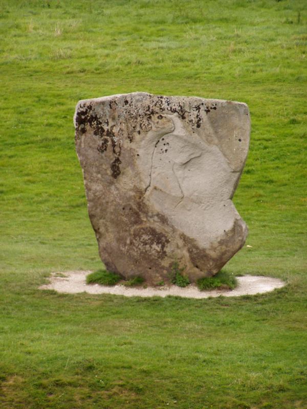 * Image 19