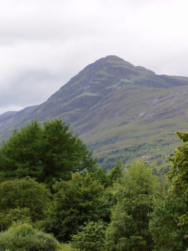 * Image 42