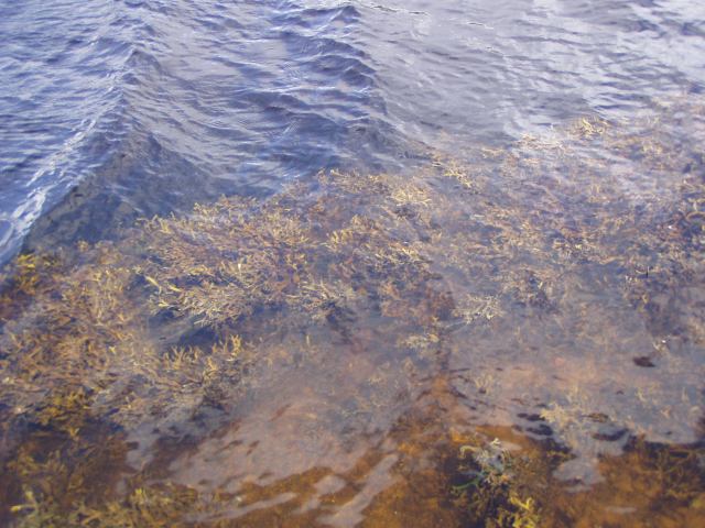 * Image 3