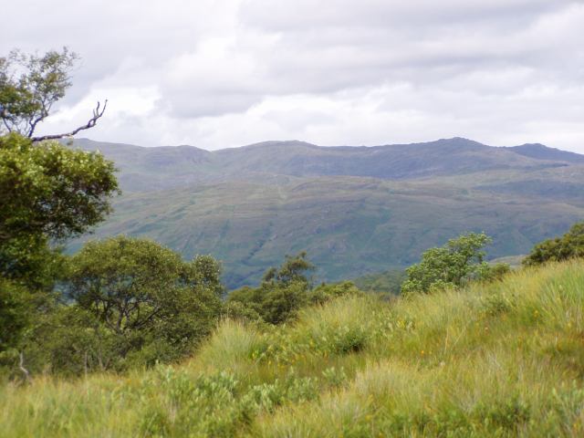 * Image 13