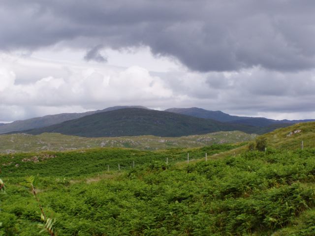 * Image 15