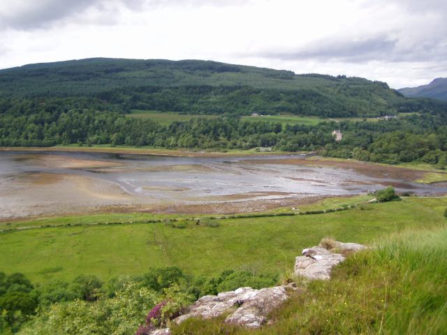 * Image 17