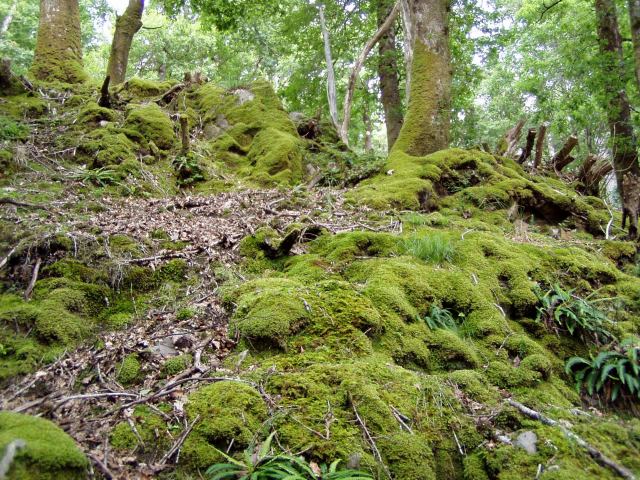 * Image 18