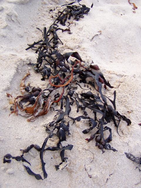 * Image 23