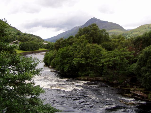 * Image 41