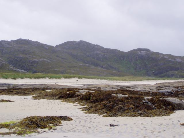 * Image 46