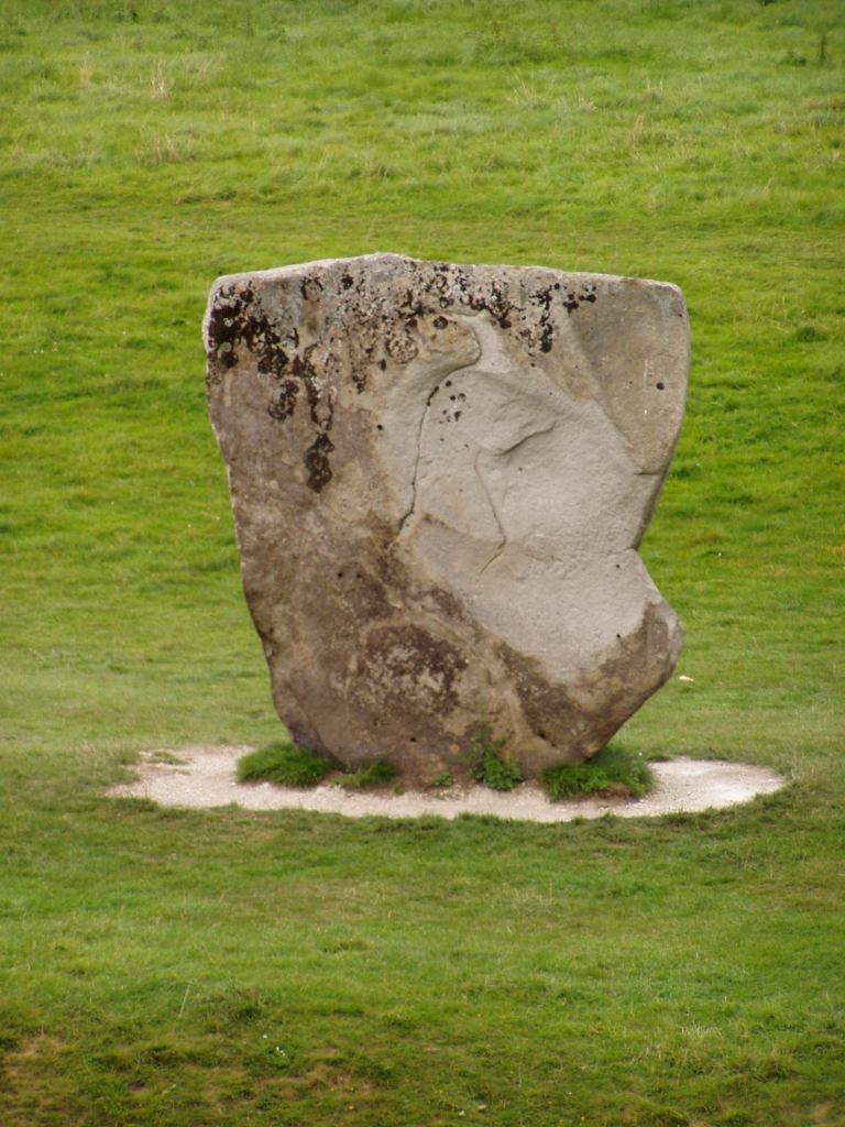 * Image 19