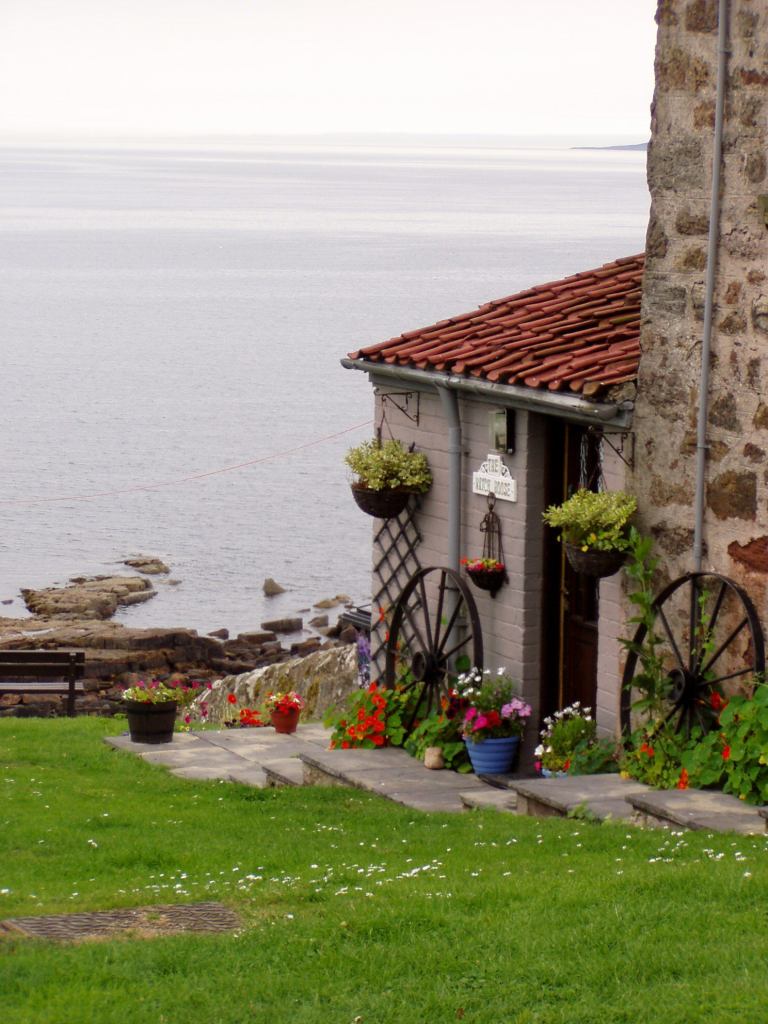 * Image 29