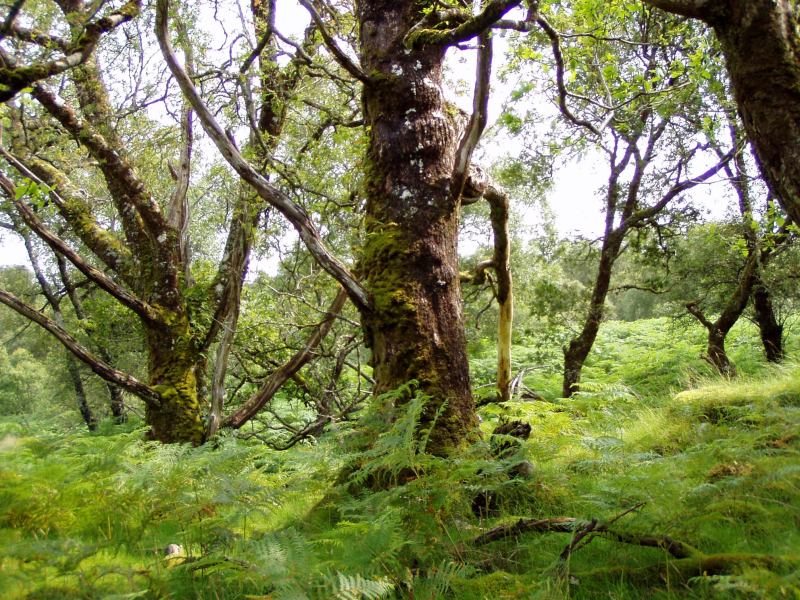 * Image 10