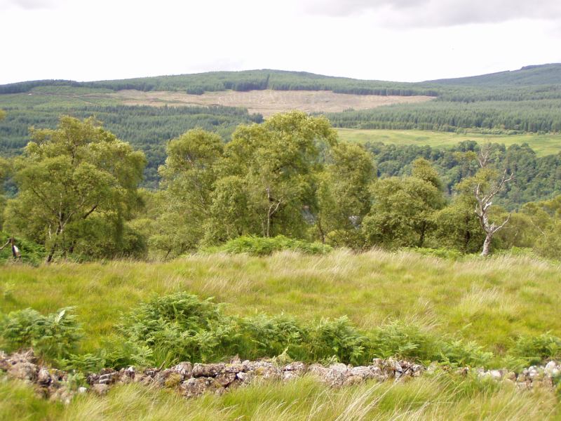 * Image 12