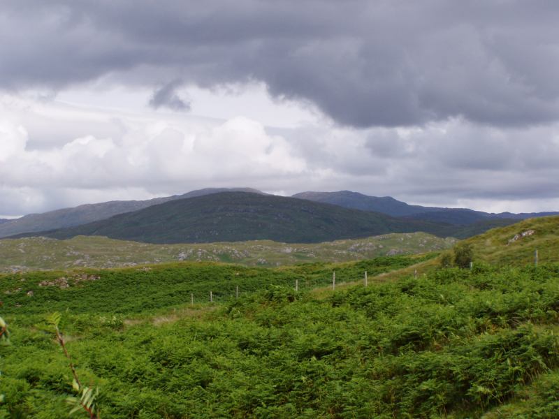 * Image 15