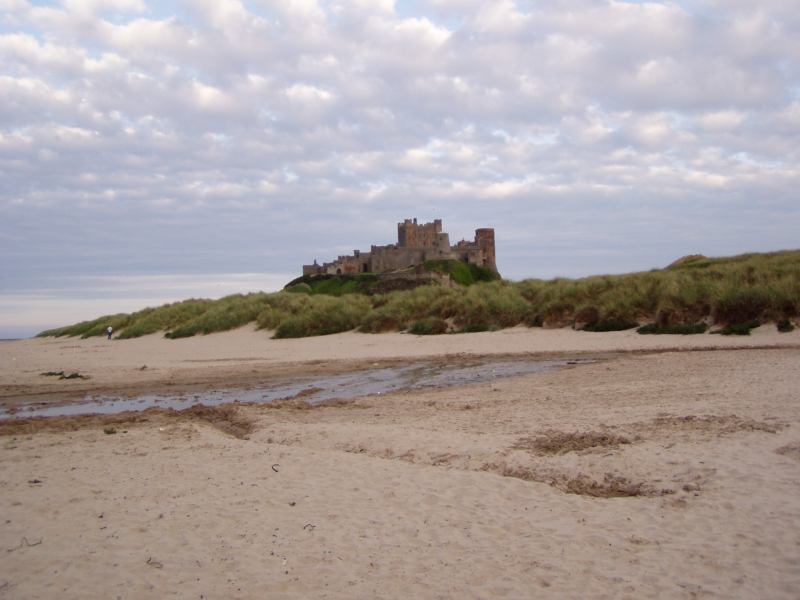 * Image 22