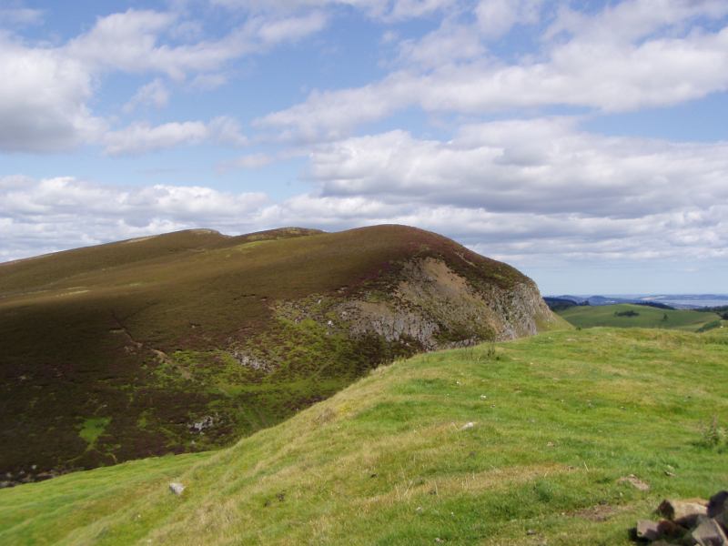 * Image 39