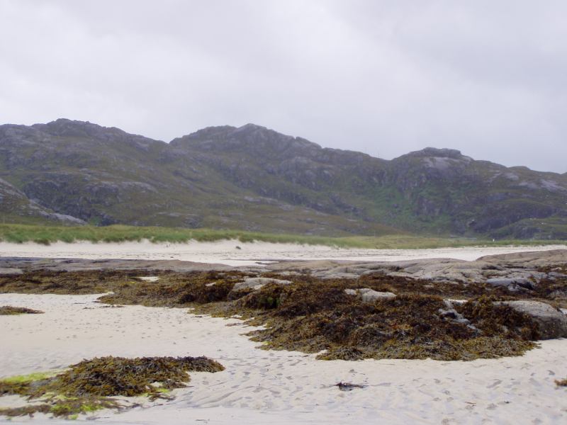 * Image 46
