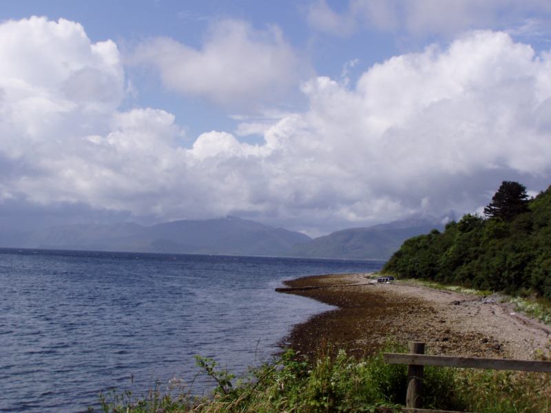 * Image 51