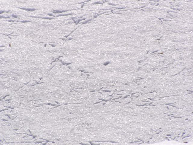 * Image 23