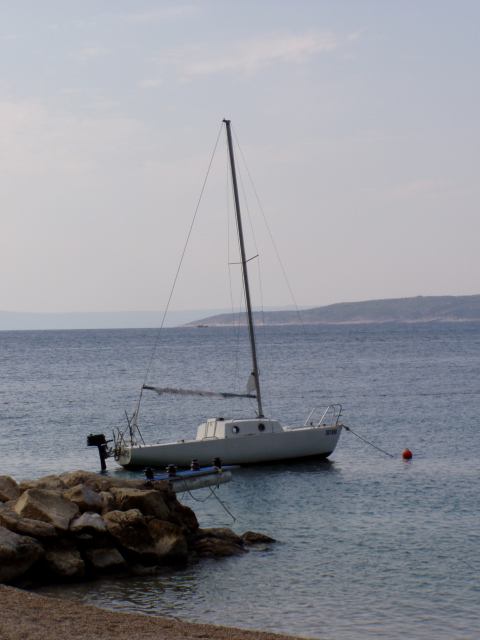 * Image 4