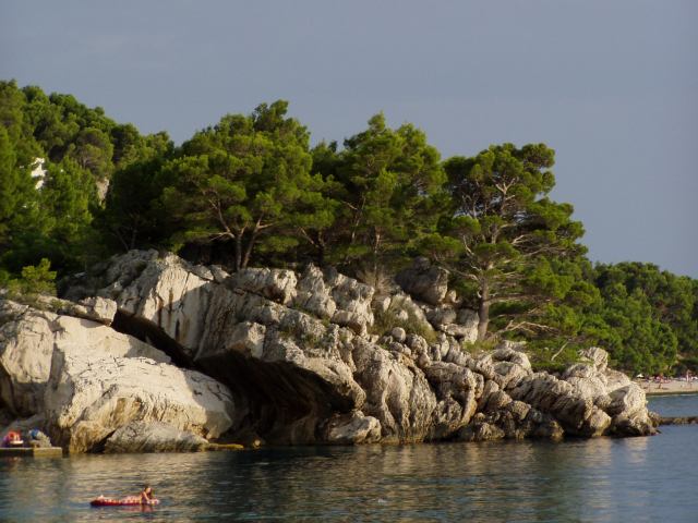 * Image 11