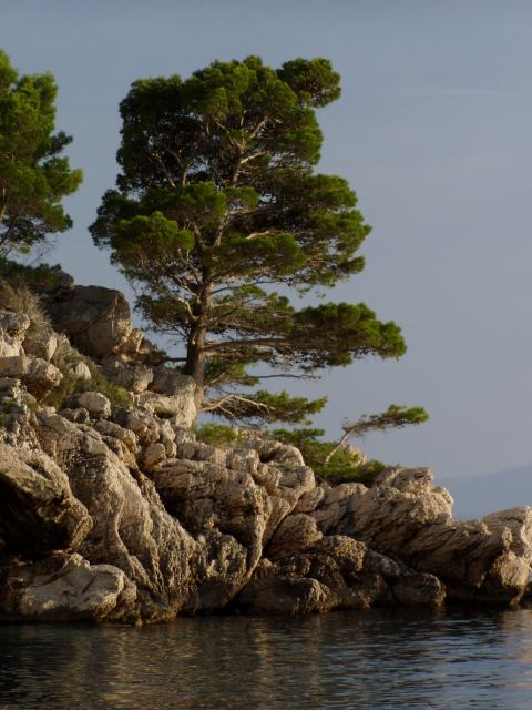 * Image 14