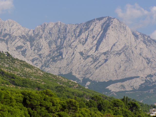* Image 18