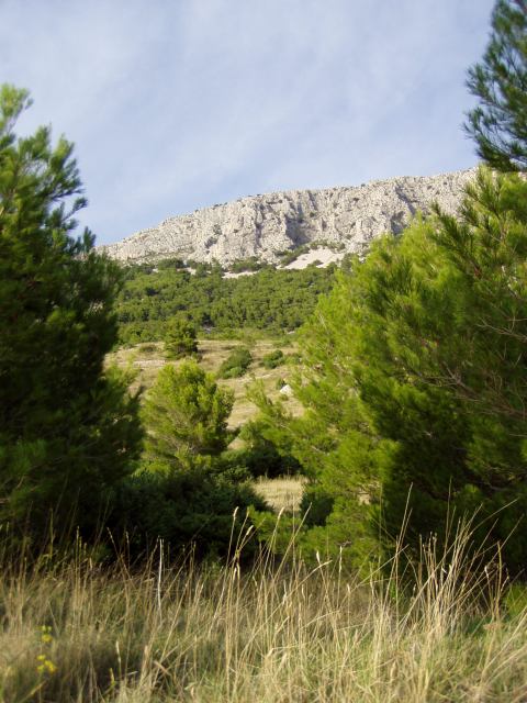 * Image 22