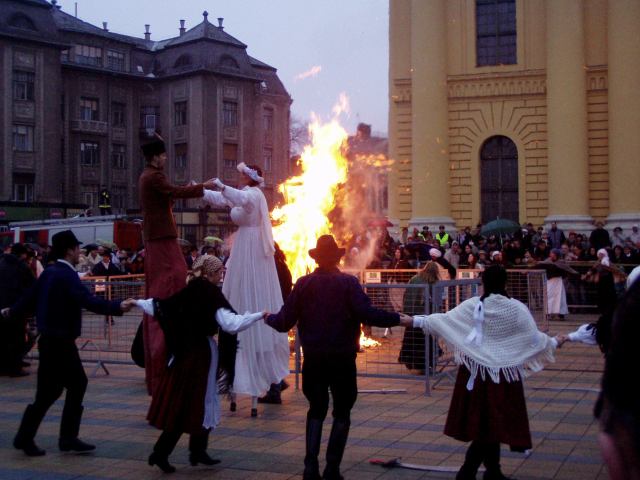 * Image 12